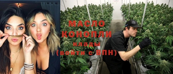 мдпв Бородино