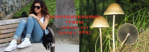 Альфа ПВП Богородицк
